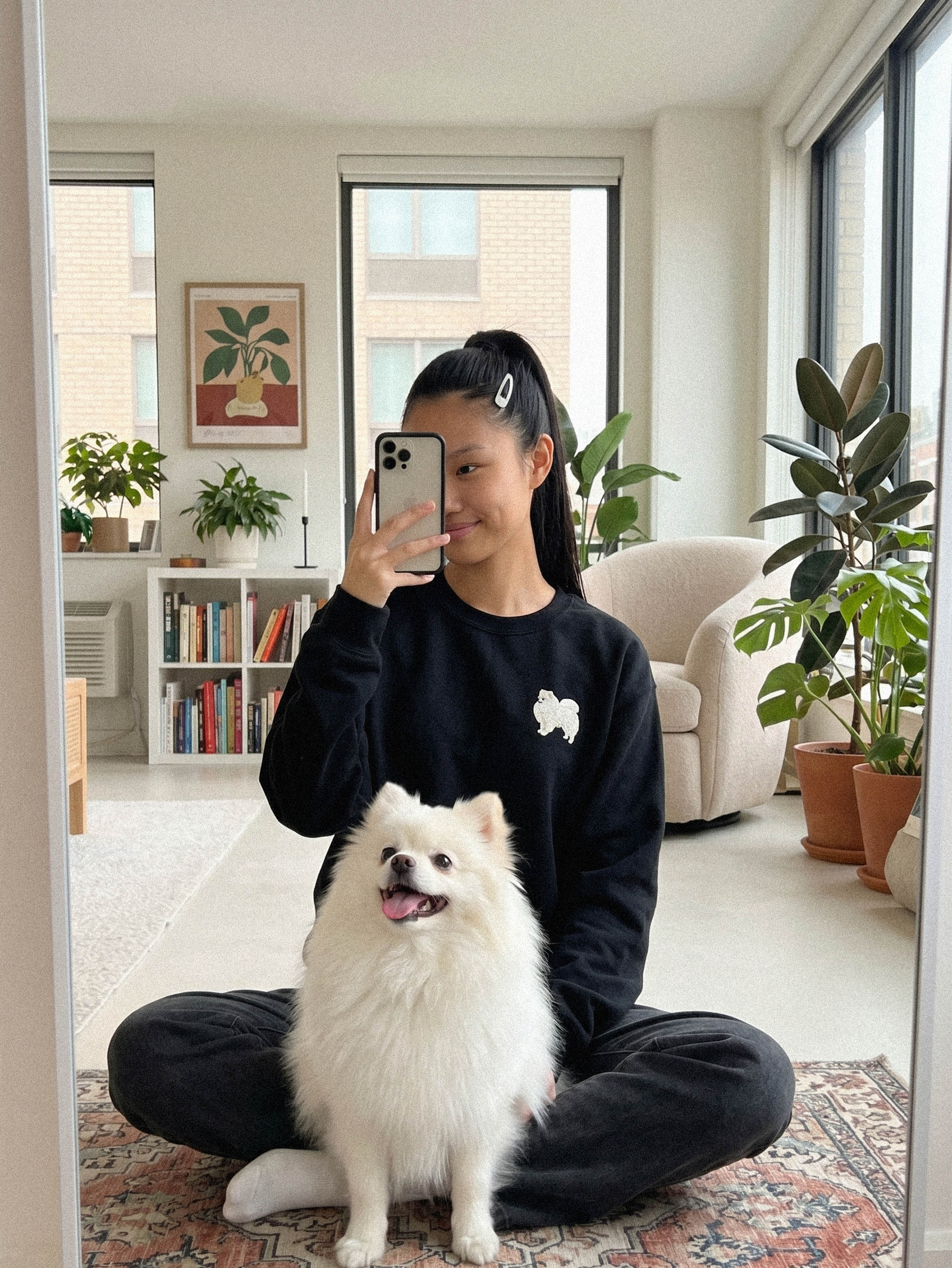 Pomeranian Shirt, Spitz Embroidered Hoodie, Custom Dog Shirt, Personalized Dog Sweatshirt, Pomeranian Gifts