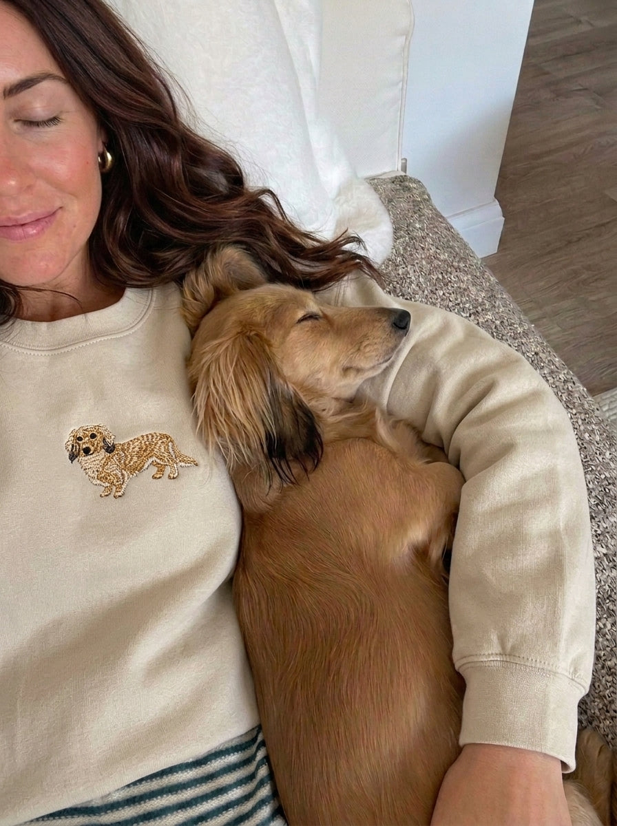 Long Haired Dachshund Shirt, Sausage Embroidered Hoodie, Wiener Custom Dog Shirt, Personalized Pet Sweatshirt, Dachshund Gifts