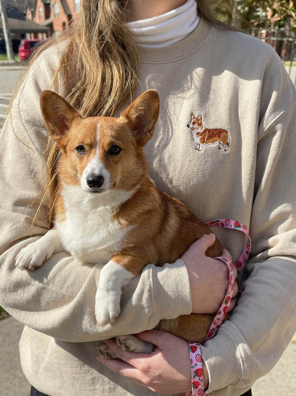 Corgi Shirt, Custom Dog Shirt, Personalized Dog Sweatshirt, Custom Pet Portrait, Corgi Gifts