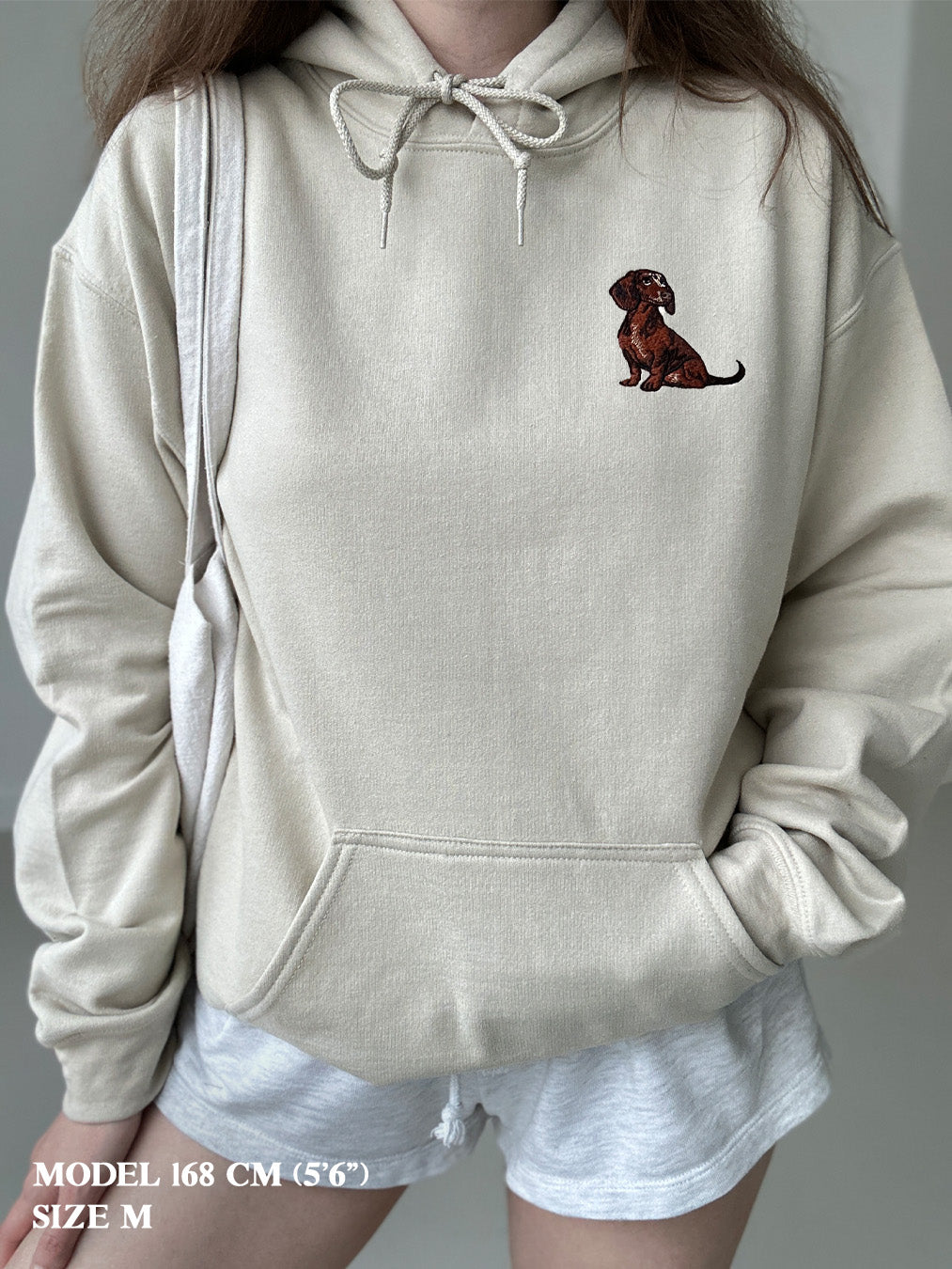 The Sitting Dachshund